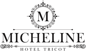 logo micheline tricot